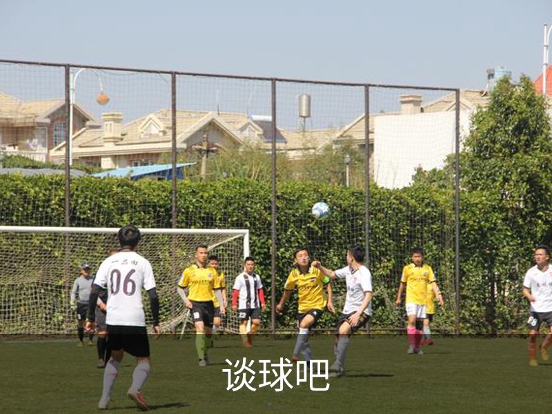 谈球吧介绍